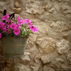 Bed & Breakfast Le Cinque Luci ***